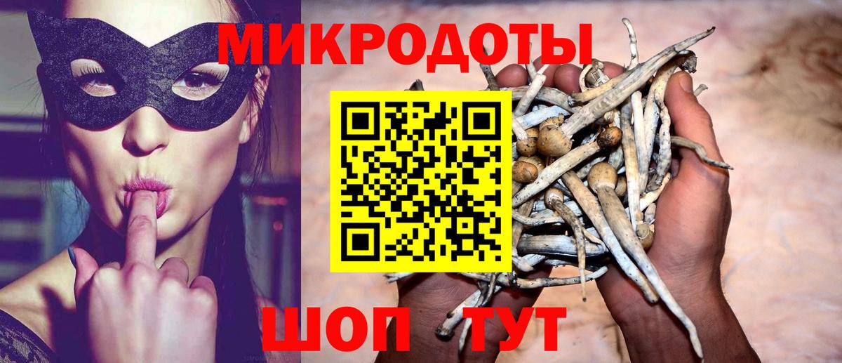Галлюциногенные грибы Psilocybine cubensis Саки
